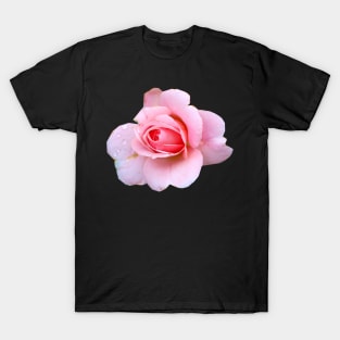 Pink Roses T-Shirt